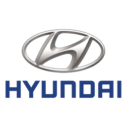 Câble de Recharge Hyundai