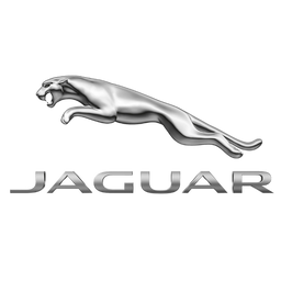 Câble de recharge Jaguar